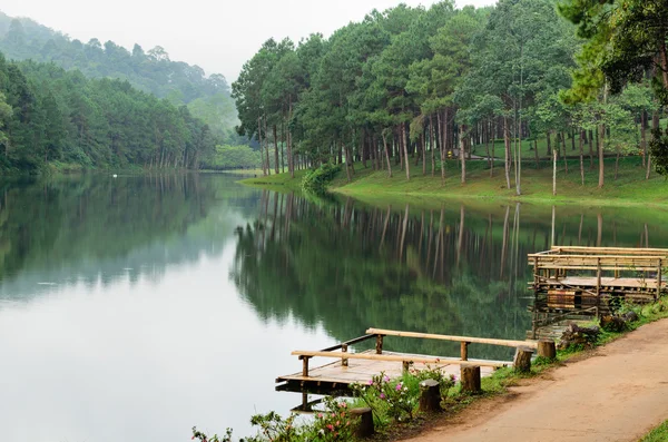 Pang ung, schöner Waldsee am Morgen — Stockfoto