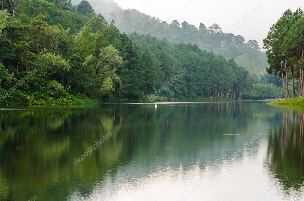 Nature landscape at morning of lakes and pine forests