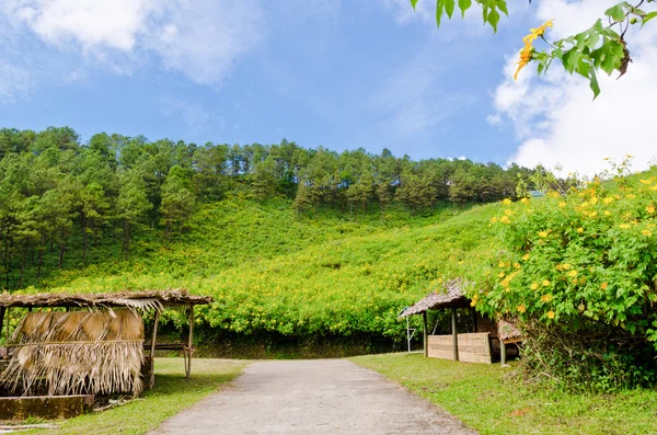 风景秀丽的自然 doi 湄尤山 — 图库照片