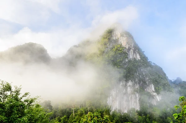 Svěží vysoké hory se vztahuje mlhy — Stock fotografie