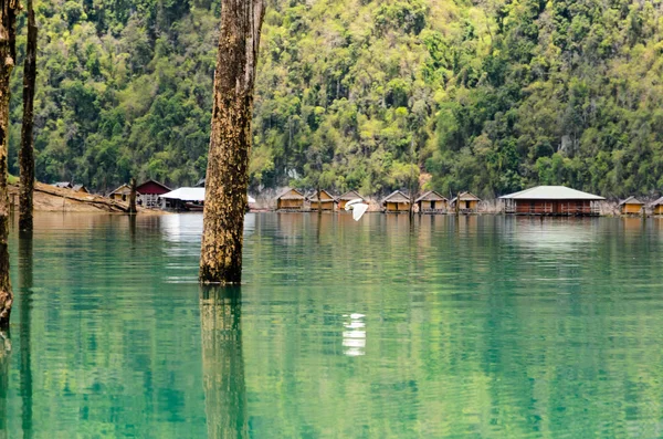 Blick auf Natur und Bungalows — Stockfoto