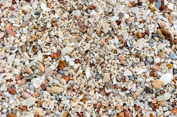 Staré náboje a kámen na pláži — Stock fotografie