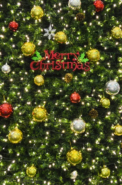 Merry Christmas sign on the tree — Stock Photo, Image