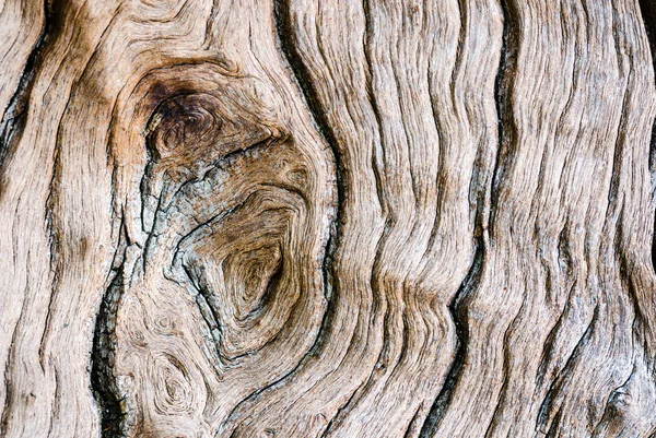 Texture of old wood — Stock Photo, Image