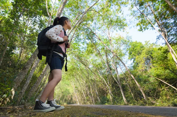 Caminhante na floresta — Fotografia de Stock