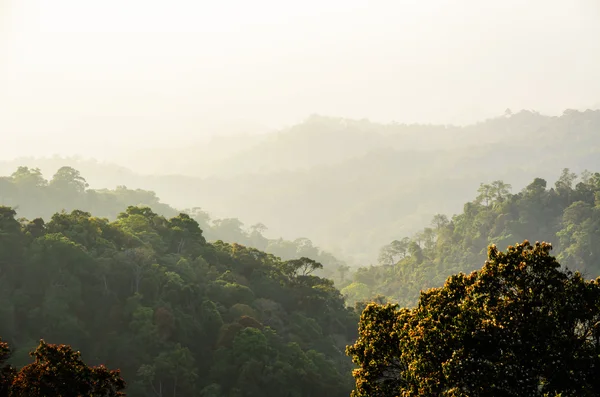 Alto ângulo vista floresta montanha e céu — Fotografia de Stock