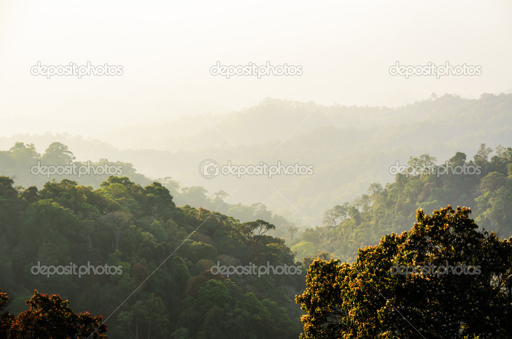 High angle view forest mountain and sky