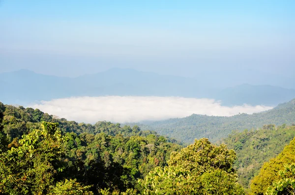Hoge berg en mist in de ochtend — Stockfoto