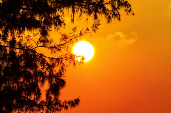 Pôr-do-sol silhueta — Fotografia de Stock