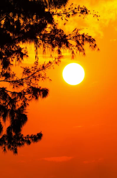 Silueta puesta de sol —  Fotos de Stock