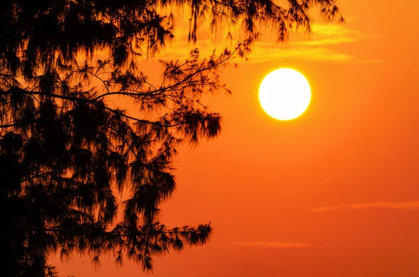 Silueta puesta de sol —  Fotos de Stock