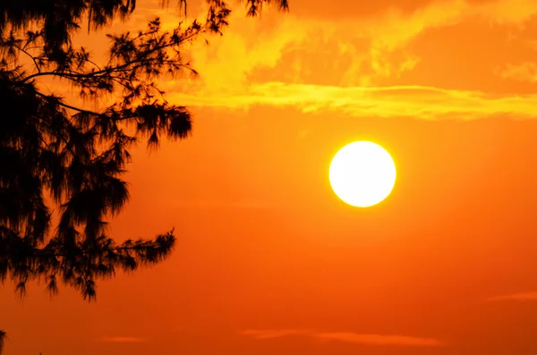 Silueta puesta de sol —  Fotos de Stock