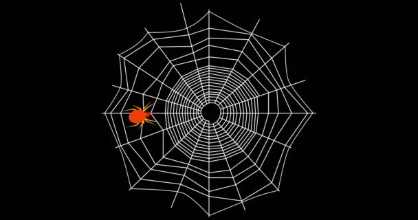 毒のあるクモは網に沿って這う ネット上の恐ろしい節足動物は獲物を待つ 黒の背景にガイド線と信号線を持つ抽象的なクモの巣 クモとクモとハロウィンのシンボル — ストック動画
