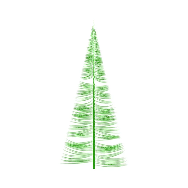 Abstrakcyjna Sylwetka Świerka Kultura Wiecznie Zielonych Drzew Iglastych Igły Rosną — Wektor stockowy