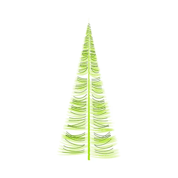 Perennial Coniferous Tree Asymmetrical Lateral Branches Stylized Christmas Tree Pine — Vetor de Stock