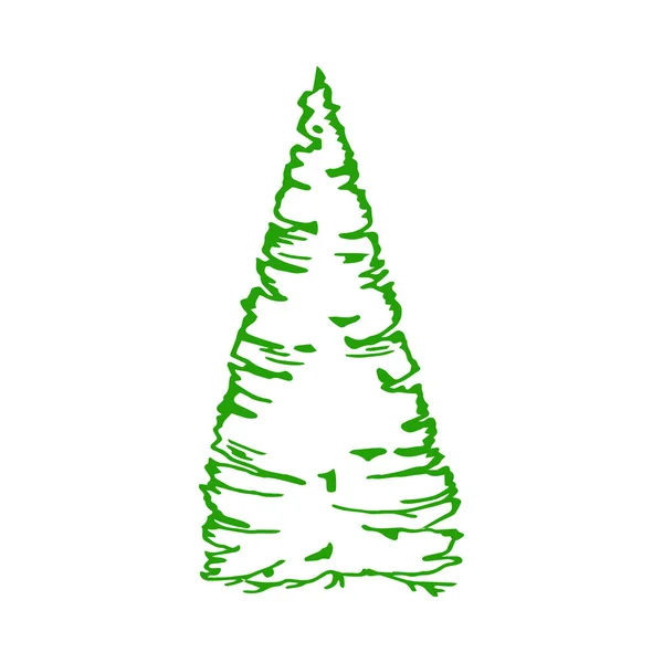 多年生常緑樹 緑豊かな側枝 様式化された非対称シルエット ヒノキ モミの木 緑の針葉樹の木 冬のグリーティングカード ポスター パッケージと季節のデザインのために — ストックベクタ