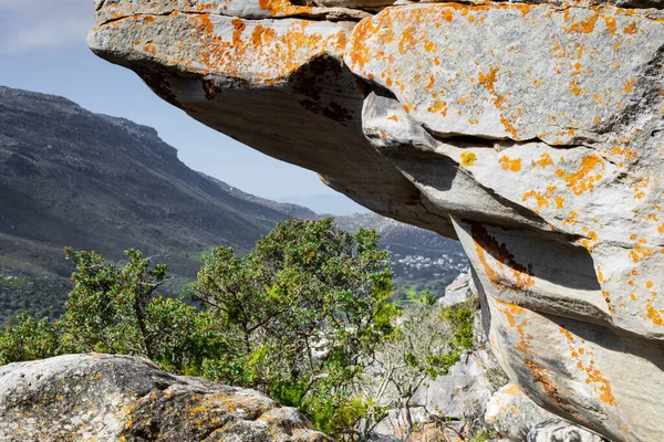 Wytrzymały Krajobraz Górski Florą Fynbos Kapsztadzie Rpa — Zdjęcie stockowe