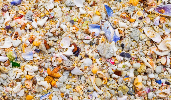 Vista Aérea Las Conchas Mar Lavadas Rotas Playa Arena Ciudad —  Fotos de Stock