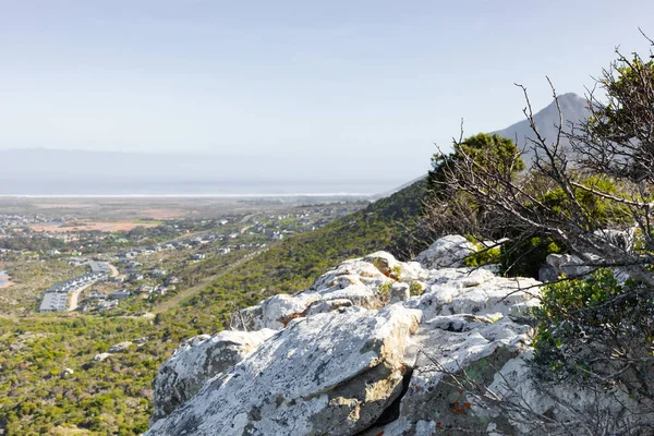 남아프리카 공화국 케이프타운에 식물로 뒤덮인 — 스톡 사진
