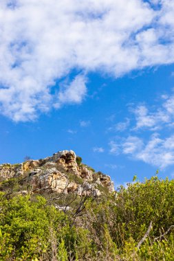 Cape Town Güney Afrika 'daki fynbos çalıları ovalarken engebeli dağ manzarası