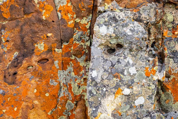 Makro Närbild Struktur Apelsin Och Svart Lavmossa Växer Berg Rock — Stockfoto