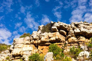 Cape Town Güney Afrika 'daki fynbos çalıları ovalarken engebeli dağ manzarası