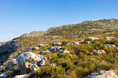 Cape Town Güney Afrika 'daki fynbos çalıları ovalarken engebeli dağ manzarası