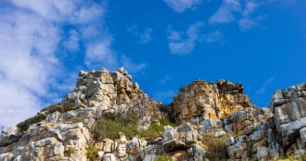 Прочный Горный Ландшафт Кустарниковой Флорой Кейптауне Южная Африка — стоковое фото
