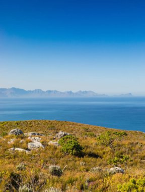 Cape Town Güney Afrika 'daki Fynbos Flora ile sahil dağ manzarası