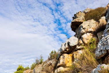 Cape Town Güney Afrika 'daki fynbos çalıları ovalarken engebeli dağ manzarası