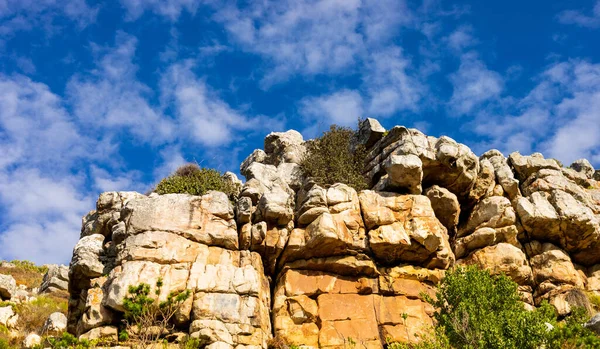 Robuust Berglandschap Met Fynbos Struikflora Schrobben Kaapstad Zuid Afrika — Stockfoto