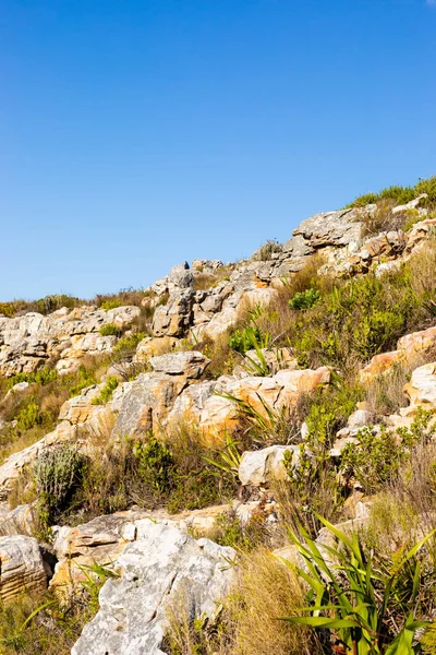 Paisagem Montanhosa Acidentada Com Fynbos Esfregar Flora Arbusto Cidade Cabo — Fotografia de Stock