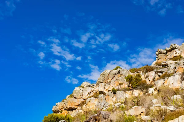 Robuust Berglandschap Met Fynbos Struikflora Schrobben Kaapstad Zuid Afrika — Stockfoto