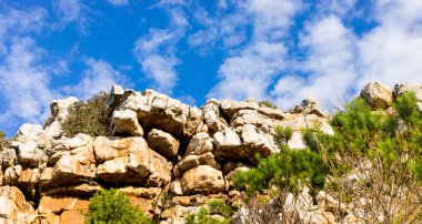 Cape Town Güney Afrika 'daki fynbos çalıları ovalarken engebeli dağ manzarası