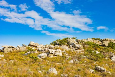 Cape Town Güney Afrika 'daki fynbos çalıları ovalarken engebeli dağ manzarası