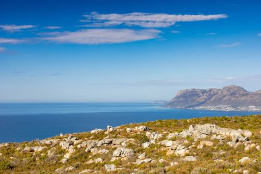 Cape Town Güney Afrika 'daki Fynbos Flora ile sahil dağ manzarası