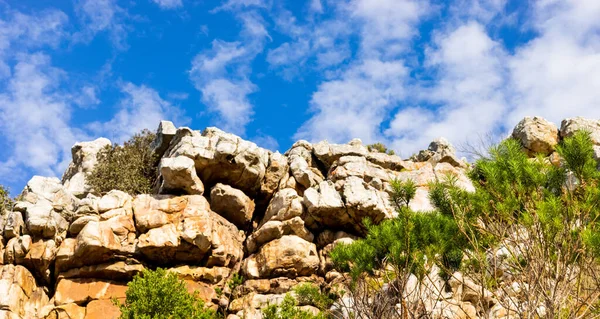 Cape Town Güney Afrika 'daki fynbos çalıları ovalarken engebeli dağ manzarası