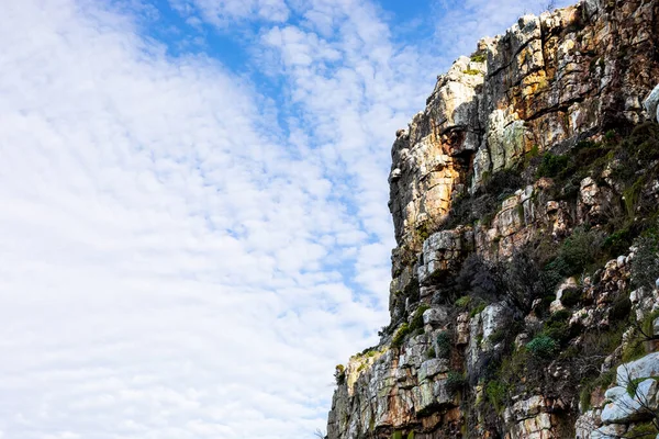 Жорсткий Гірський Краєвид Фінбош Чагарниковою Флорою Кейптауні Пар — стокове фото