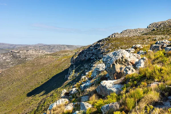 Cape Town Güney Afrika 'daki fynbos çalıları ovalarken engebeli dağ manzarası