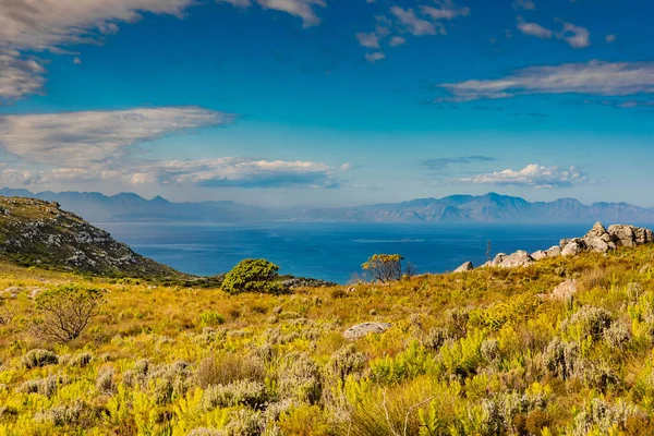 Cape Town Güney Afrika 'daki Fynbos Flora ile sahil dağ manzarası