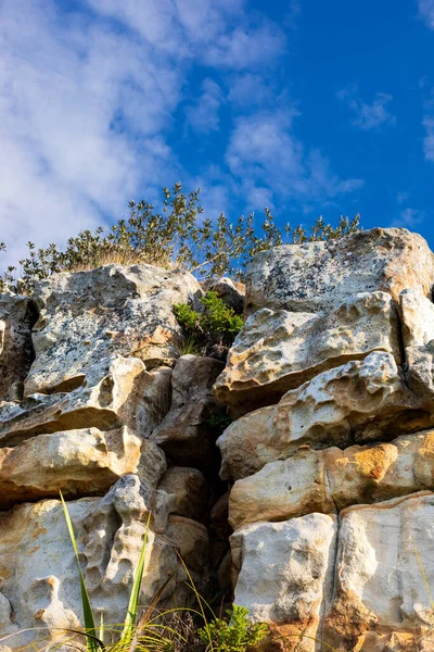 Rugged Mountain Landscape Fynbos Scrub Bush Flora Cape Town South — Stock Photo, Image