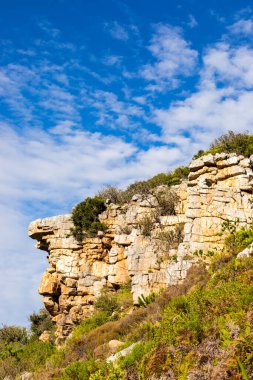 Cape Town Güney Afrika 'daki fynbos çalıları ovalarken engebeli dağ manzarası