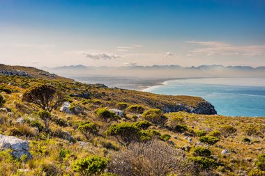 Cape Town Güney Afrika 'daki Fynbos Flora ile sahil dağ manzarası