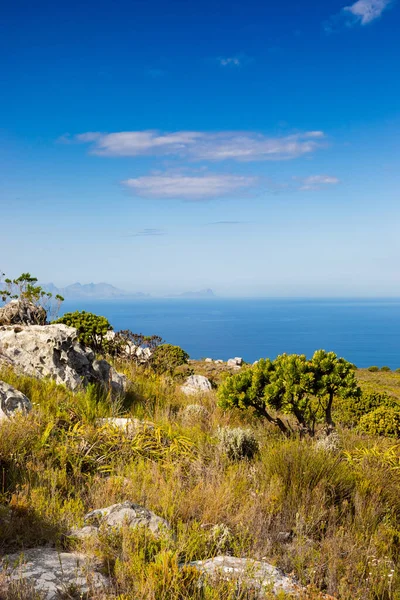 Παράκτια Ορεινό Τοπίο Χλωρίδα Fynbos Στο Κέιπ Τάουν Της Νότιας — Φωτογραφία Αρχείου