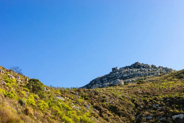 Cape Town Güney Afrika 'daki fynbos çalıları ovalarken engebeli dağ manzarası
