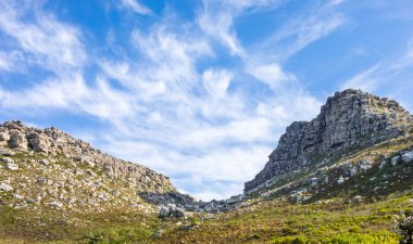Cape Town Güney Afrika 'daki fynbos çalıları ovalarken engebeli dağ manzarası