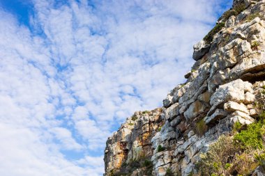 Cape Town Güney Afrika 'daki fynbos çalıları ovalarken engebeli dağ manzarası