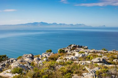 Cape Town Güney Afrika 'daki Fynbos Flora ile sahil dağ manzarası