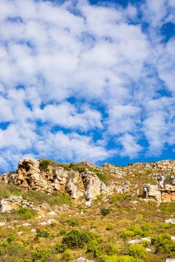 Cape Town Güney Afrika 'daki fynbos çalıları ovalarken engebeli dağ manzarası