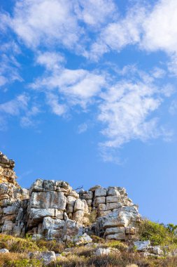 Cape Town Güney Afrika 'daki fynbos çalıları ovalarken engebeli dağ manzarası